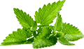 DDOS网页端平台